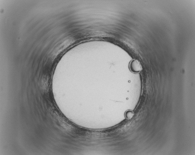 X0000089370873200707061111