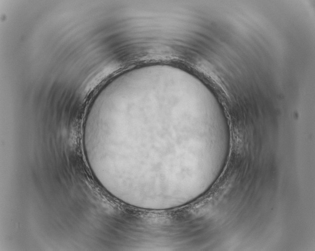 X0000089370874200707061111