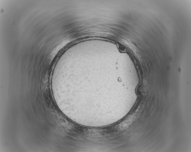 X0000089370875200707061111