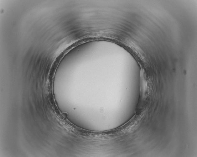 X0000089370876200707061111