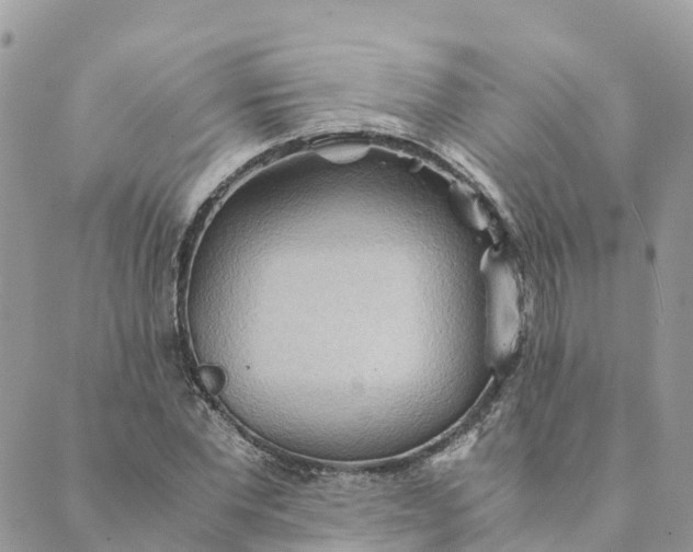 X0000089370877200707061111