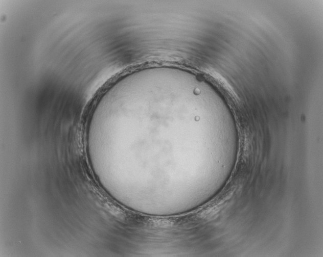 X0000089370878200707061111