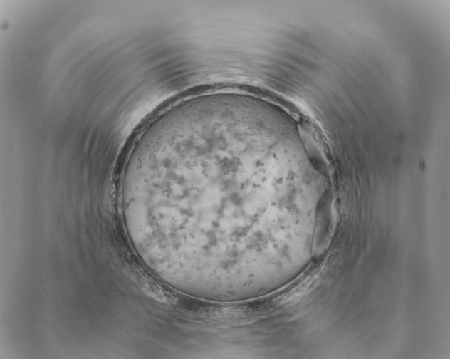 X0000089370879200707061111