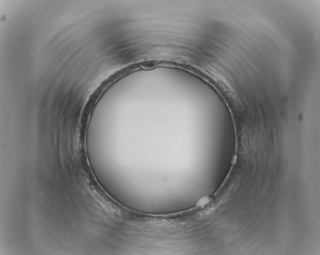 X0000089370880200707061111