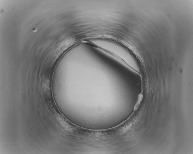 X0000089370881200707061111