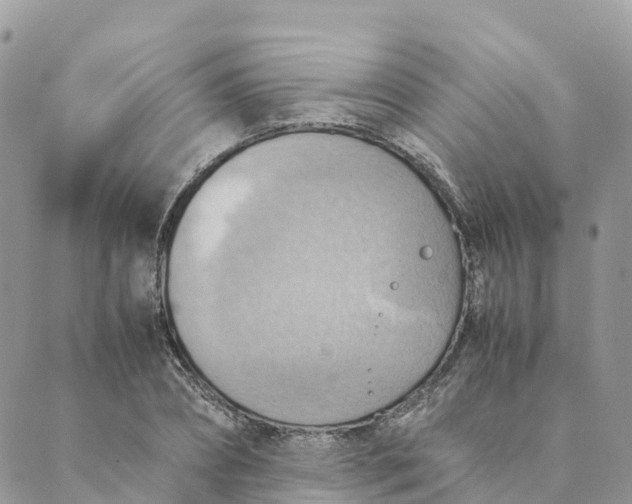 X0000089370882200707061111