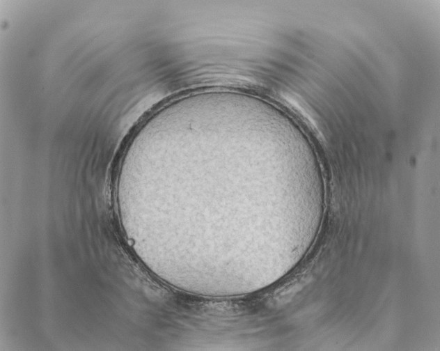 X0000089370883200707061111