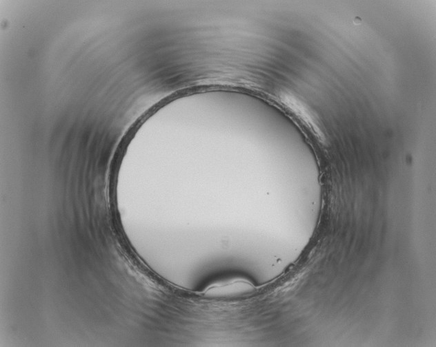 X0000089370884200707061111