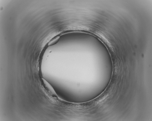 X0000089370885200707061111