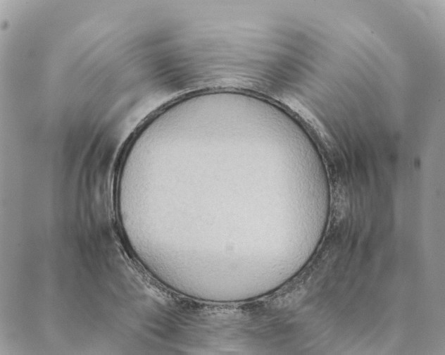 X0000089370886200707061111