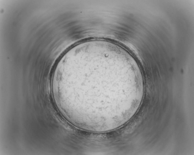 X0000089370887200707061111