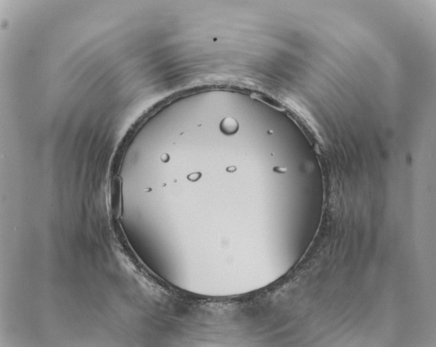 X0000089370888200707061111