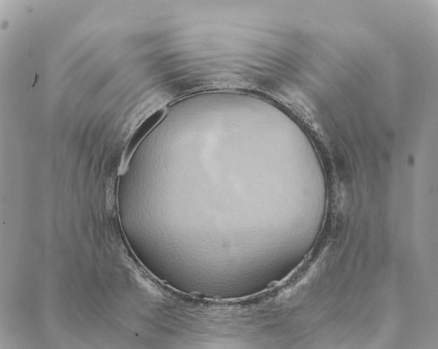 X0000089370889200707061111