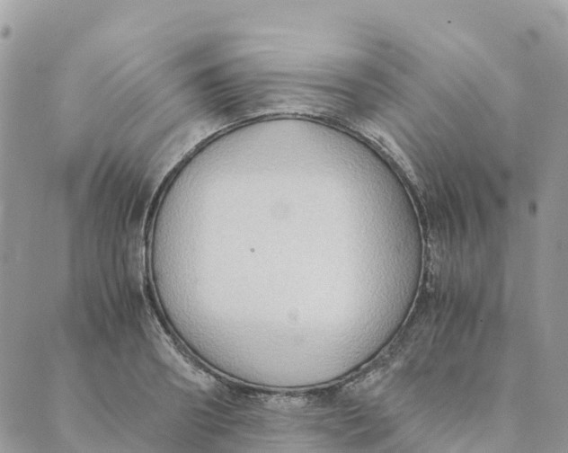 X0000089370890200707061111