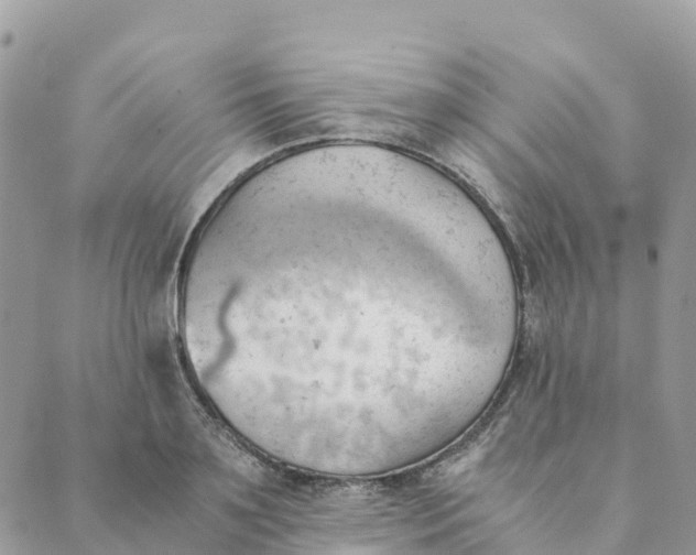 X0000089370891200707061111