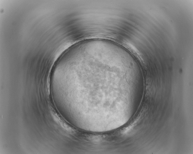 X0000089370892200707061111