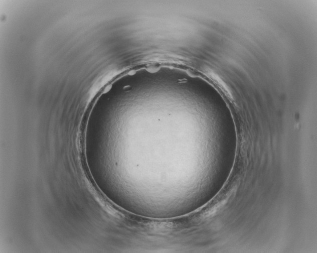 X0000089370893200707061111