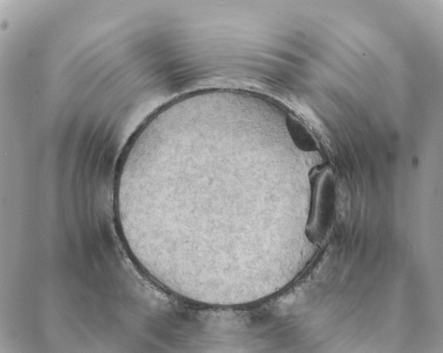 X0000089370896200707061111