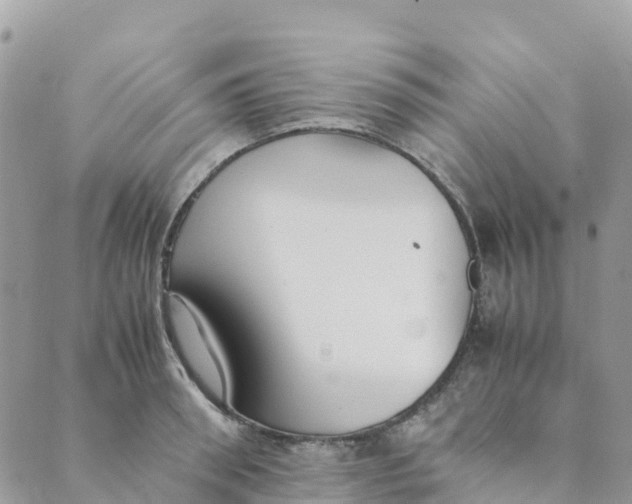 X0000089370898200707061111