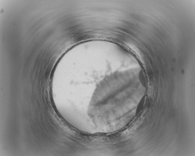 X0000089370899200707061111