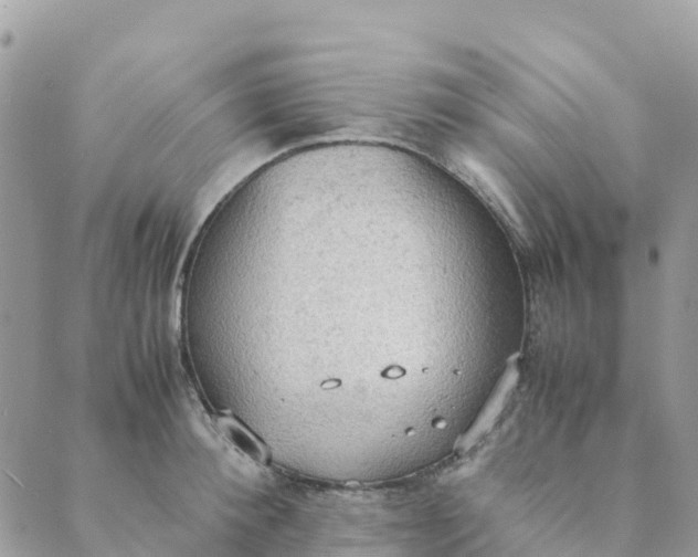 X0000089370900200707061111