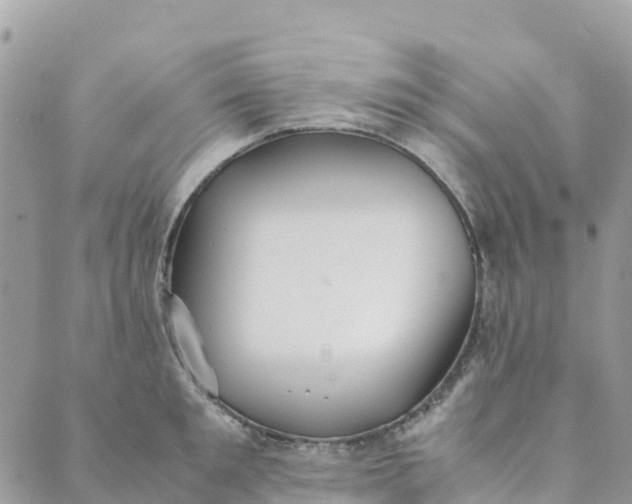 X0000089370901200707061111