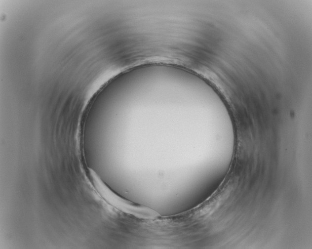 X0000089370902200707061111