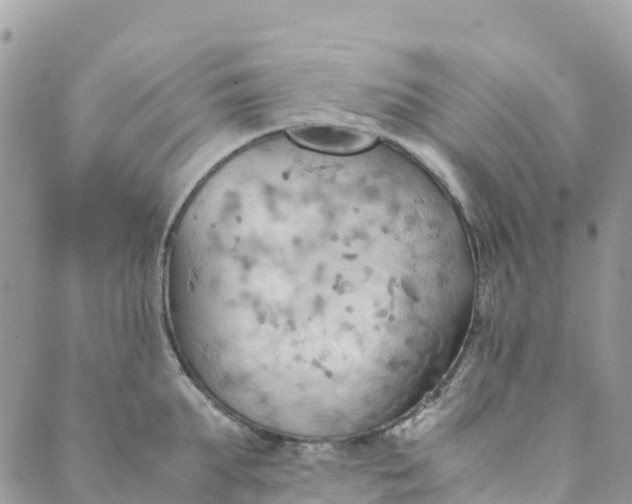 X0000089370903200707061111