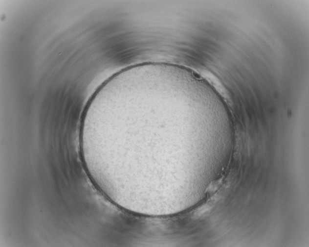 X0000089370904200707061111