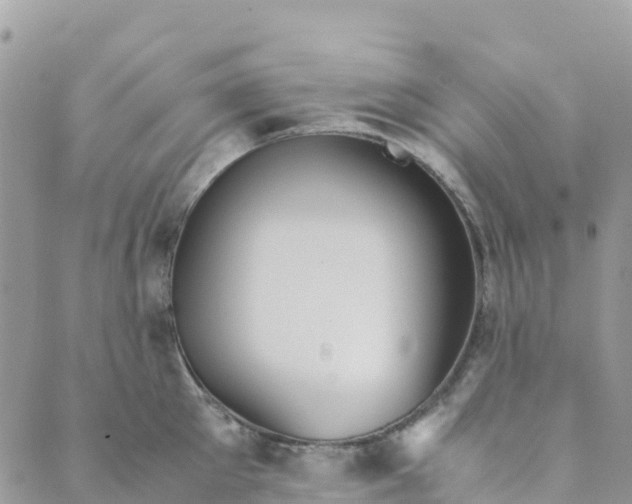 X0000089370905200707061111