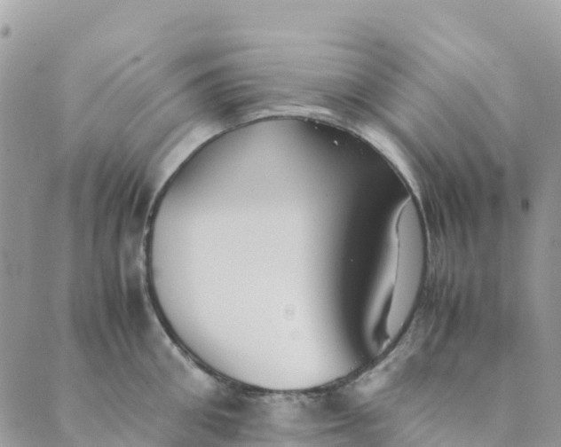 X0000089370906200707061111