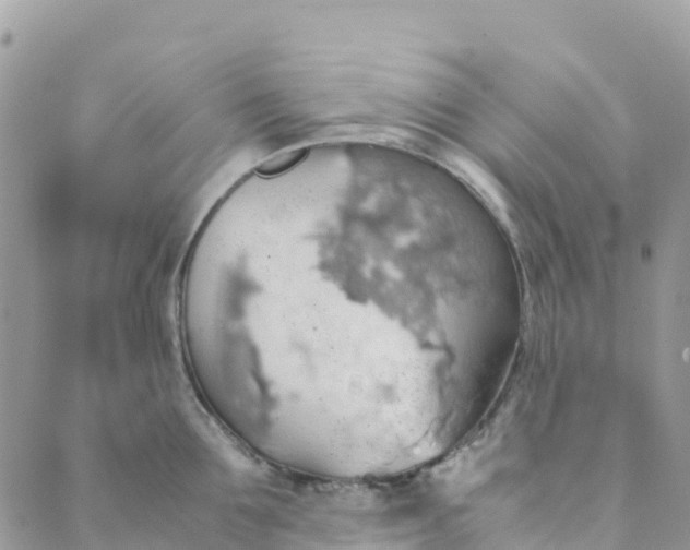 X0000089370907200707061111