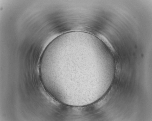 X0000089370908200707061111