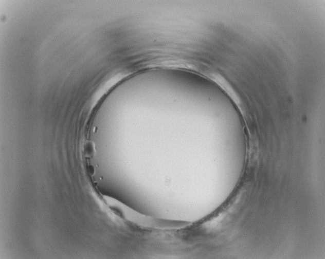 X0000089370909200707061111