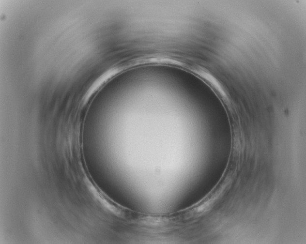 X0000089370910200707061111