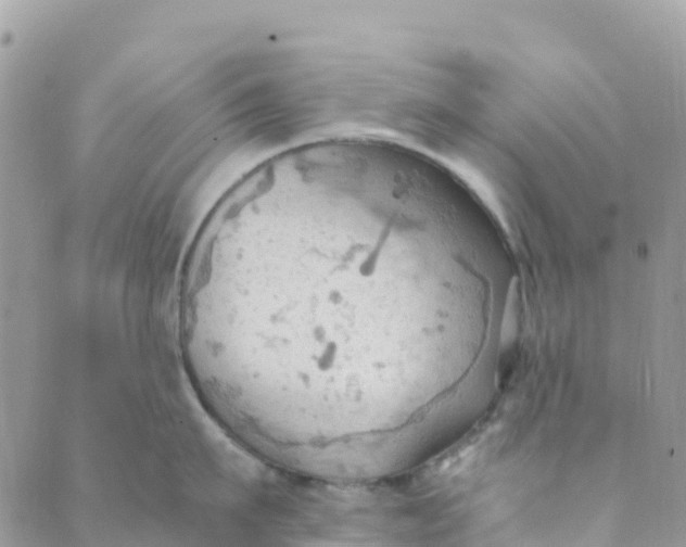 X0000089370911200707061111