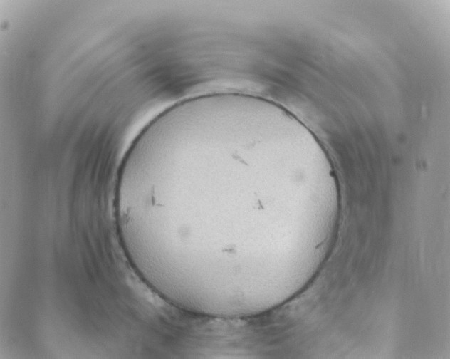 X0000089370912200707061111