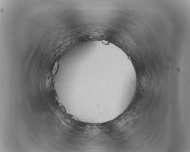 X0000089370914200707061110