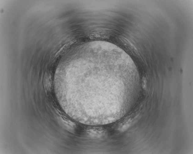 X0000089370915200707061110