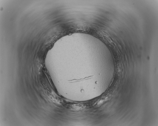 X0000089370916200707061110