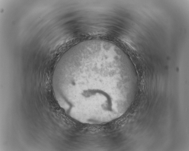 X0000089370917200707061110