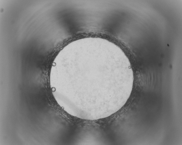 X0000089370918200707061110