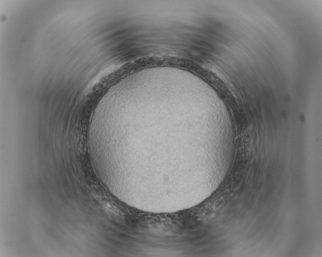 X0000089370919200707061110