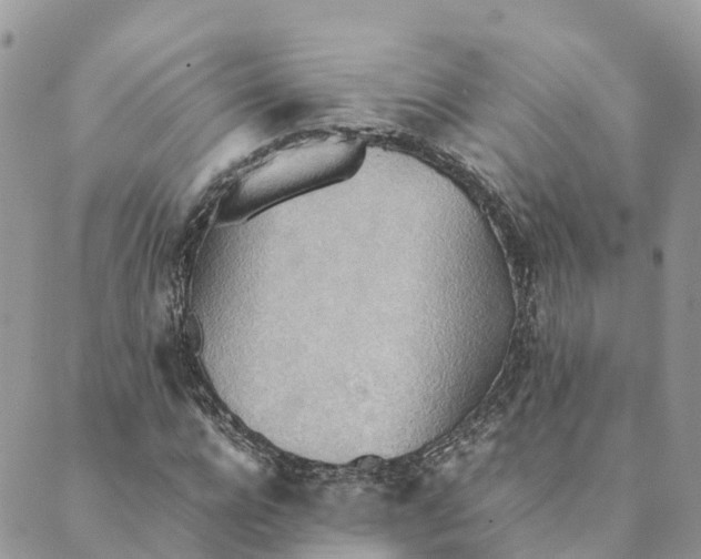 X0000089370920200707061110