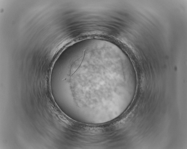 X0000089370921200707061110