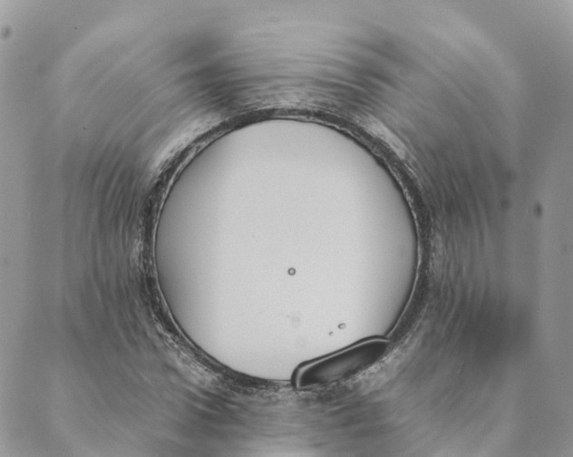 X0000089370922200707061110