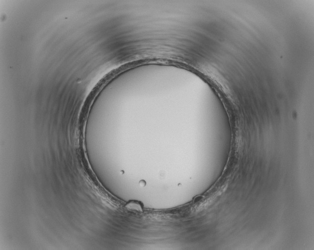 X0000089370924200707061110