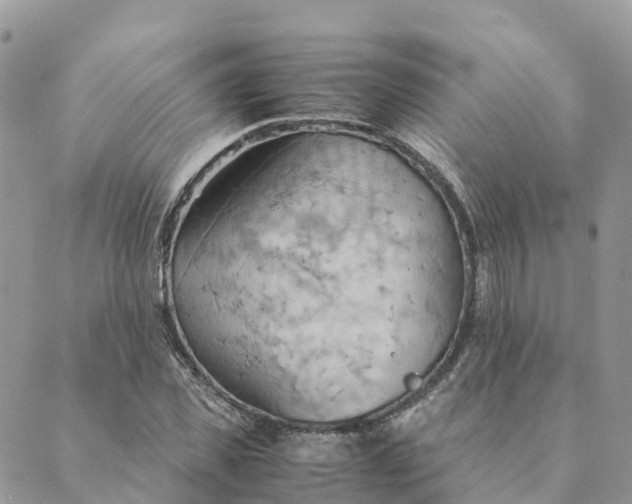 X0000089370925200707061110