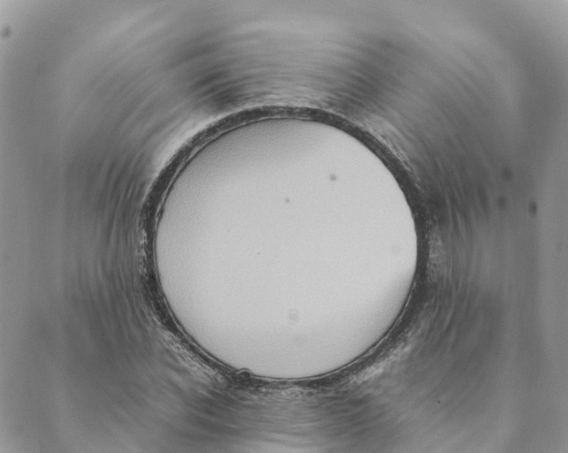 X0000089370926200707061110