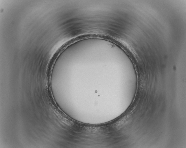 X0000089370927200707061110